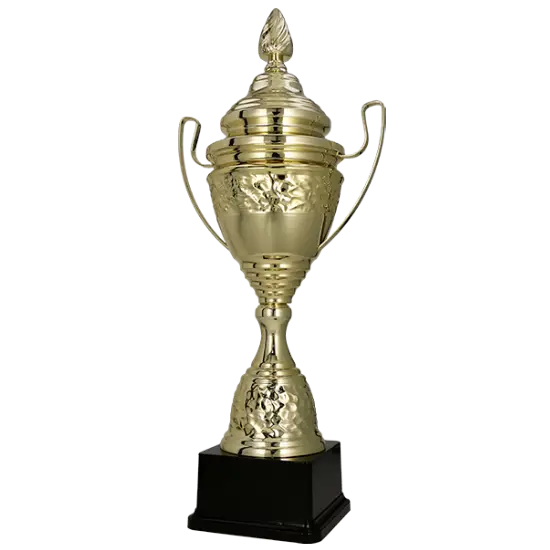 Coupe 1073 Coupe 1073