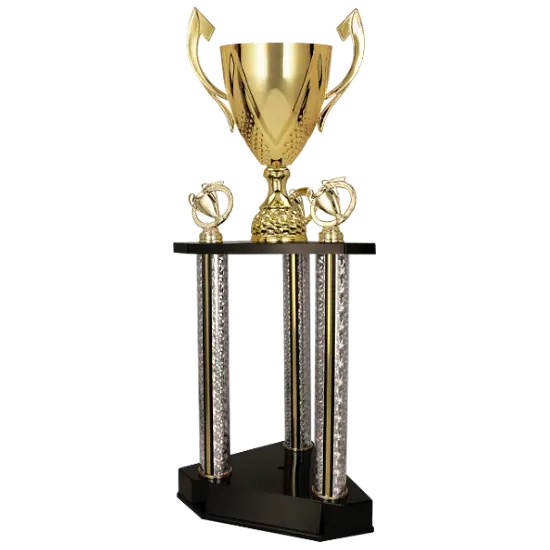 Coupe 3131 Coupe 3131