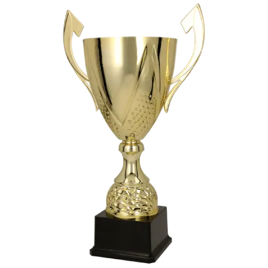 Coupe 3133 Coupe 3133