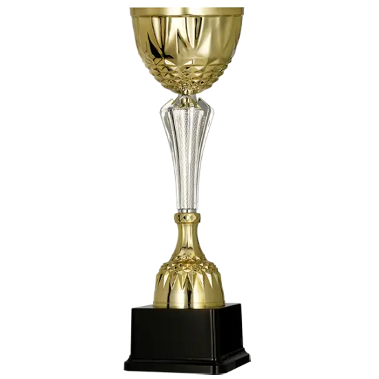 Coupe 3153 Coupe 3153