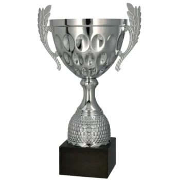pokal-4234-2