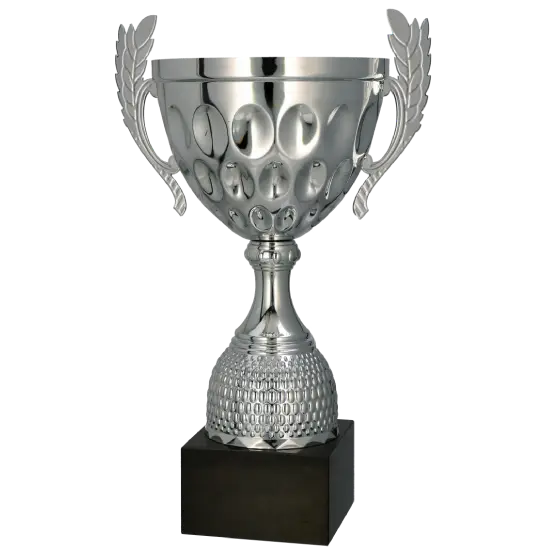 Coupe 4234 Coupe 4234