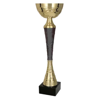 pokal-9216-2