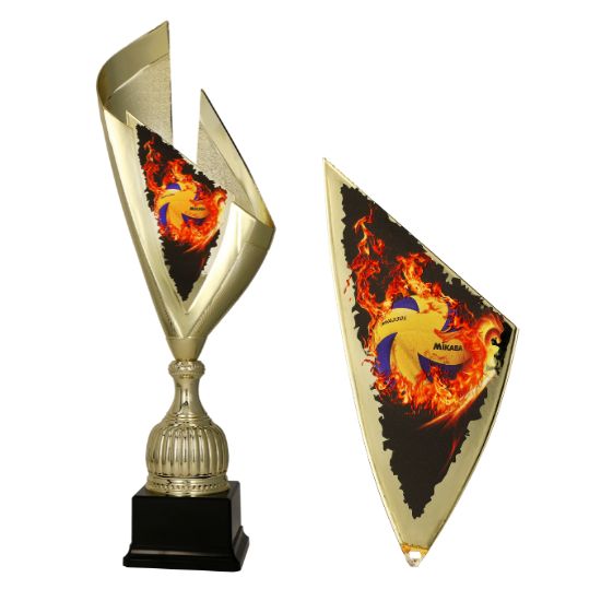 Coupe Passion Volley 4232/VOL Coupe Passion Volley 4232/VOL