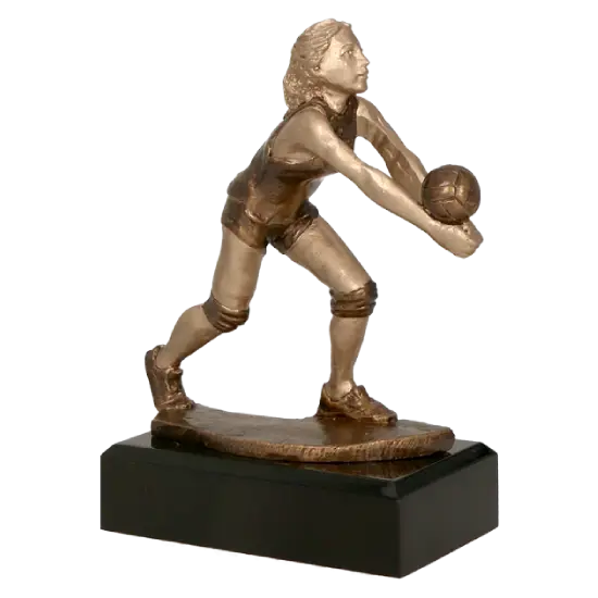 Trophée Volley-ball Féminin RFST2016 Trophée Volley-ball Féminin RFST2016