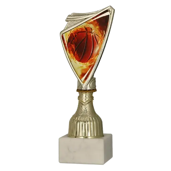 Coupe Passion pour le Basket 9297/BAS Coupe Passion pour le Basket 9297/BAS