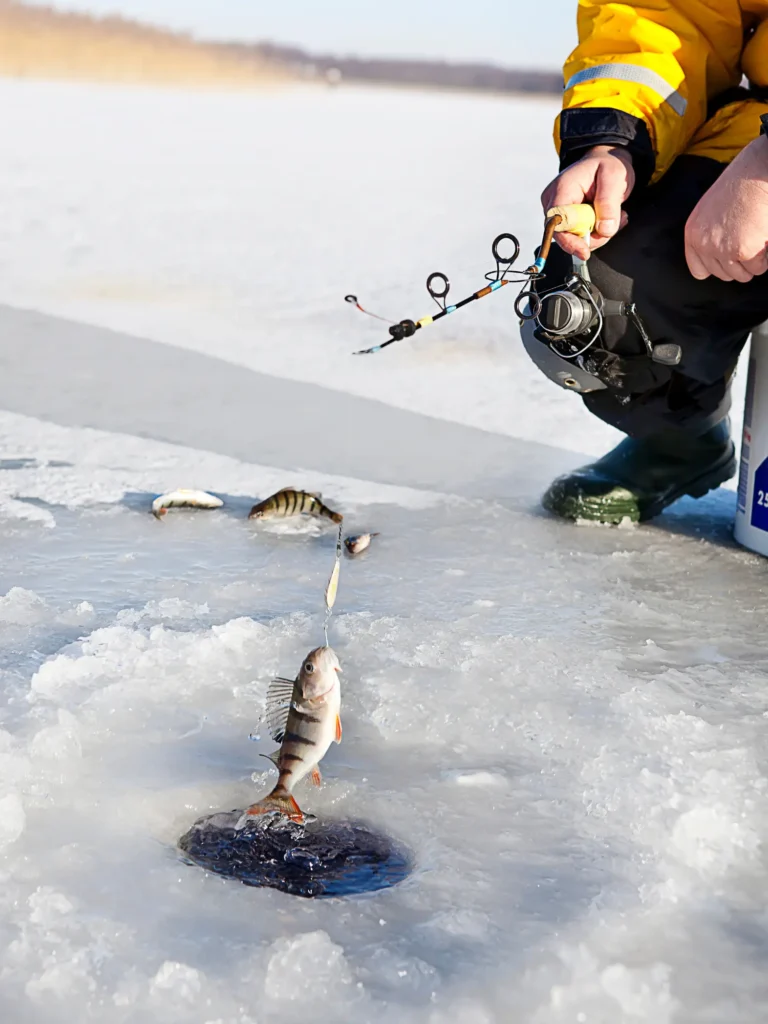 Un pêcheur sur glace, vêtu d'une veste jaune, remonte une perche prise d'un trou dans la glace à l'aide d'une canne à pêche. D'autres poissons sont visibles sur la glace à côté du trou, avec l'immensité gelée du lac en arrière-plan.